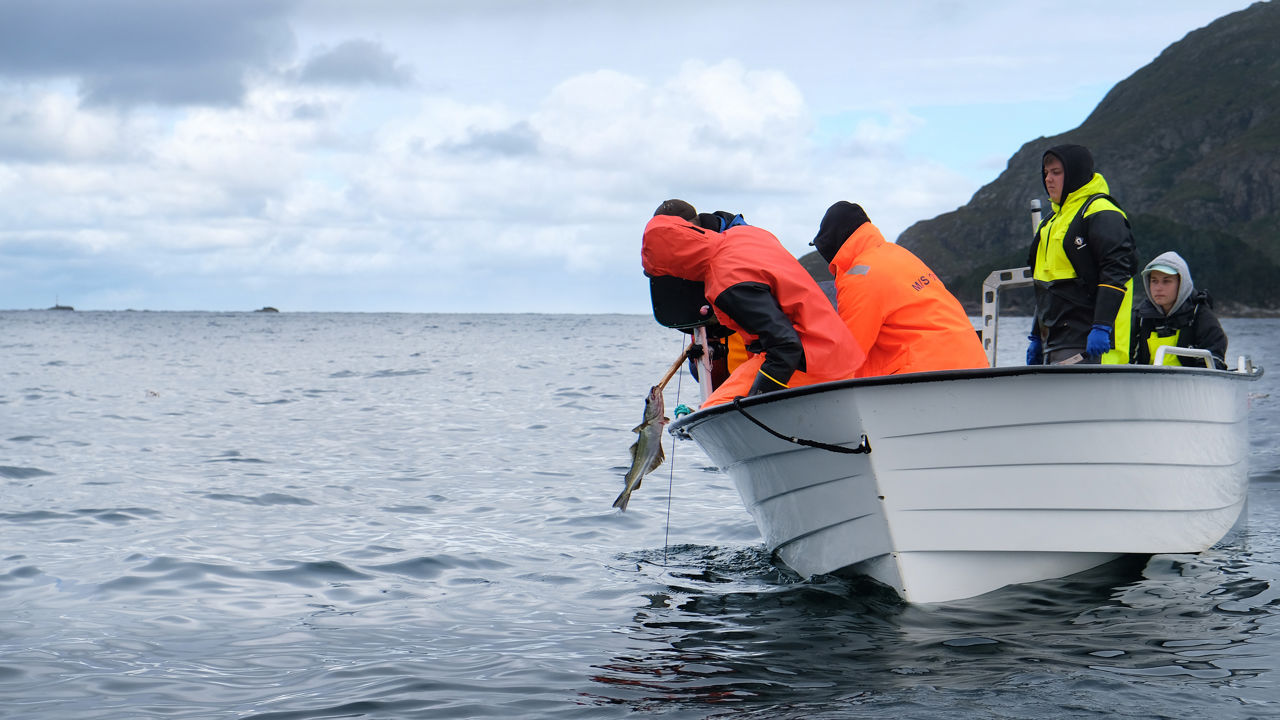 Elevar i ein båt som får fisk på krok
